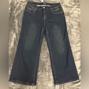 BloomChic Plus Size  2XL Classic Bootcut High-Rise Jeans us20